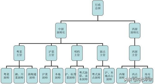 酒店管理職業規劃 立足行業現狀，洞悉組織脈絡
